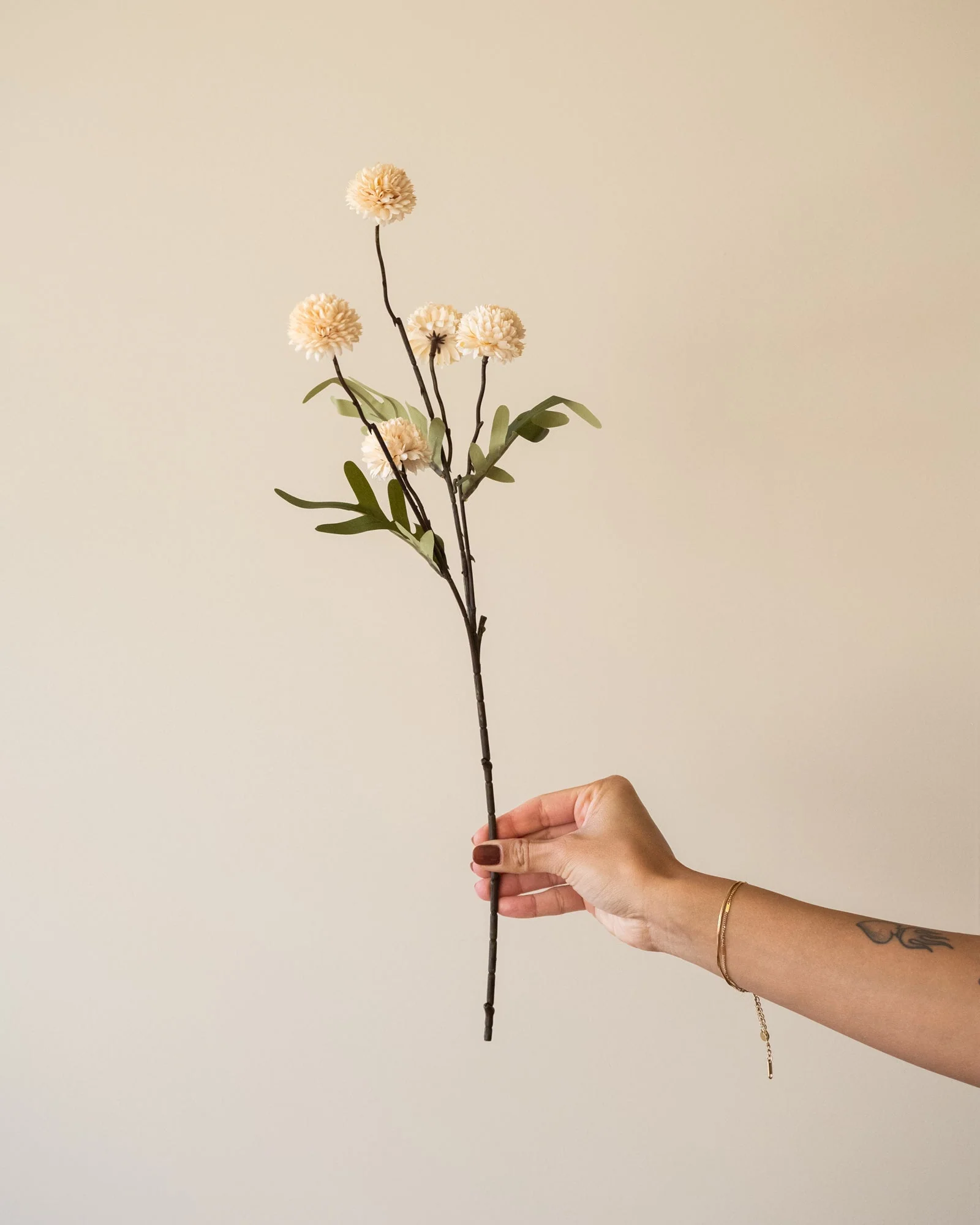 Miniatuur 2